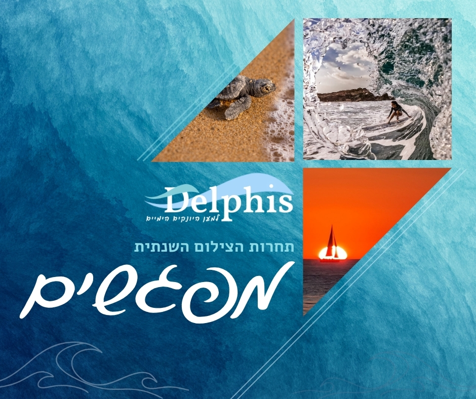 ויז'ואל תחרות הצילום 2025 — מפגשים